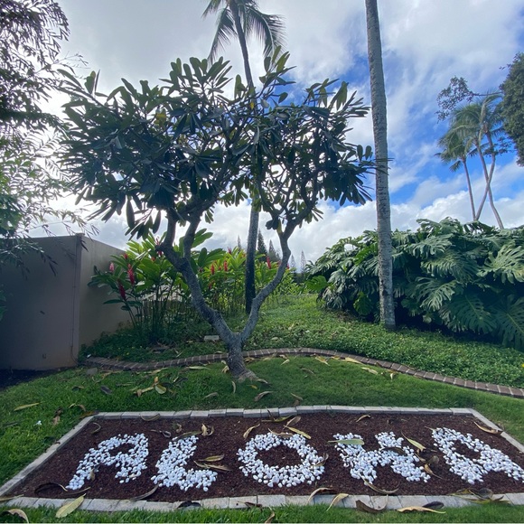 Meet your Posher, Larry - Picture 12 of 12